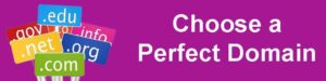 choose perfect domain